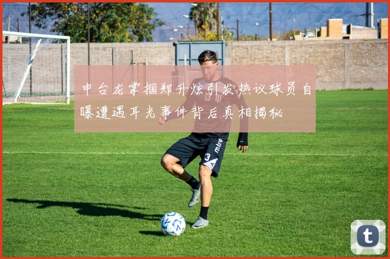 申台龙掌掴郑升炫引发热议球员自曝遭遇耳光事件背后真相揭秘