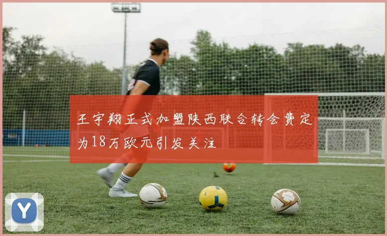 王宇翔正式加盟陕西联合转会费定为18万欧元引发关注